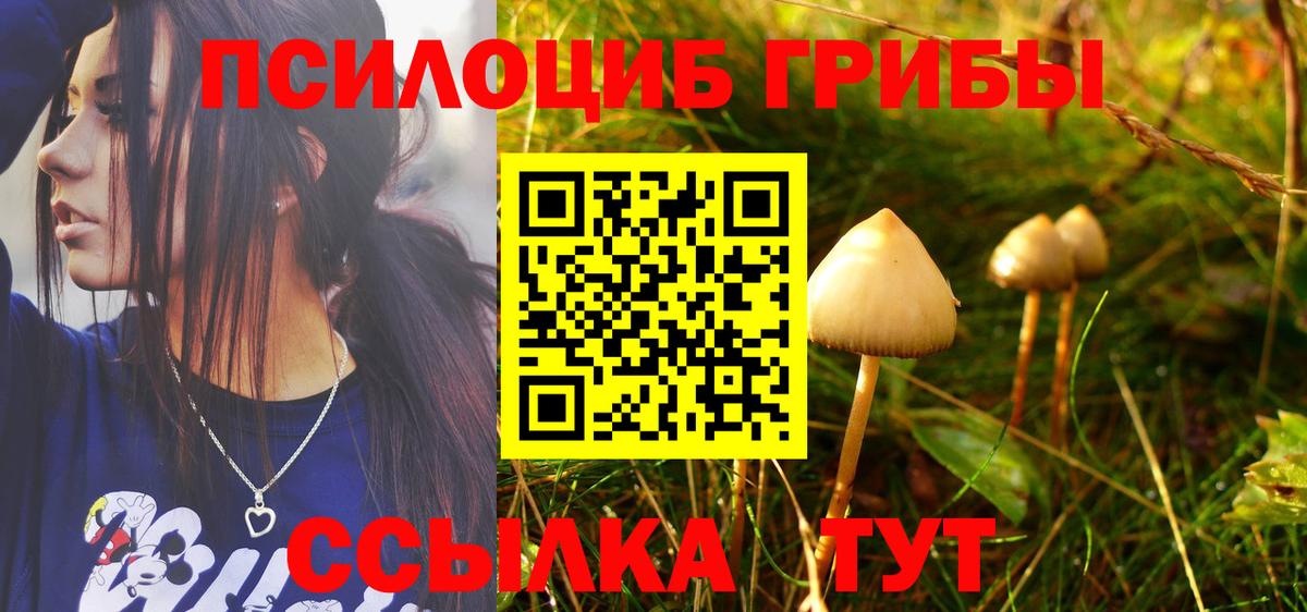 Галлюциногенные грибы Psilocybe Арсеньев